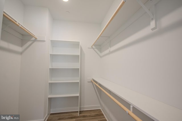 walk in closet with dark hardwood / wood-style flooring