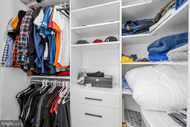 view of spacious closet