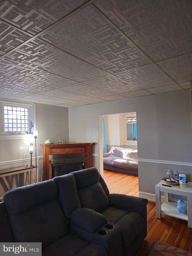 living room featuring wood-type flooring