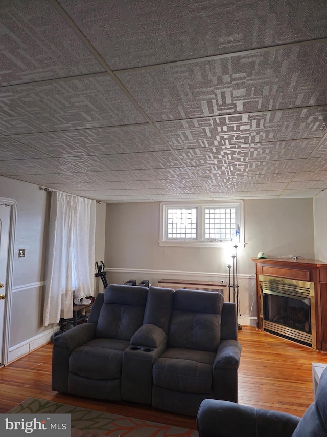 living room with hardwood / wood-style flooring