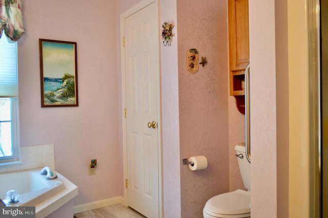 bathroom with a bathtub and toilet