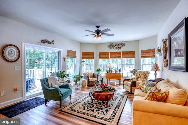 living room with ceiling fan, plenty of natural light, and hardwood / wood-style floors