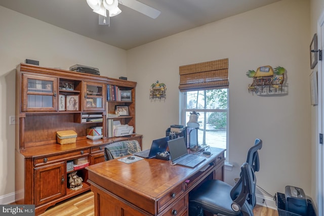 office area featuring ceiling fan and light wood-type flooring