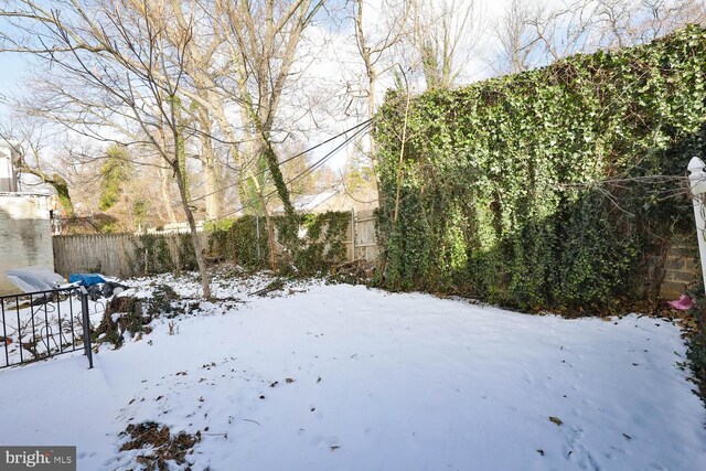 view of yard covered in snow