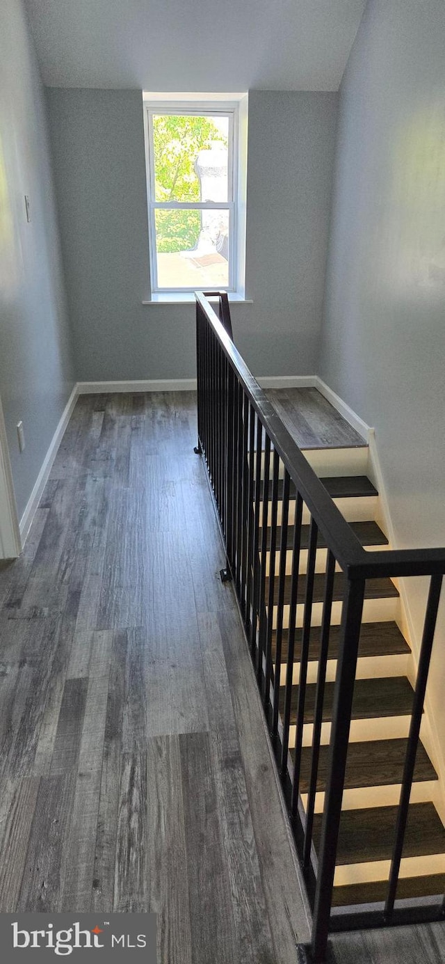 hall with dark hardwood / wood-style floors