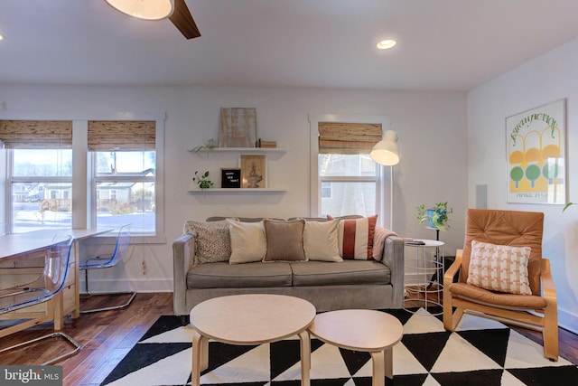 living room featuring a wealth of natural light and dark hardwood / wood-style flooring