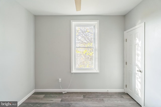 spare room with ceiling fan and wood-type flooring