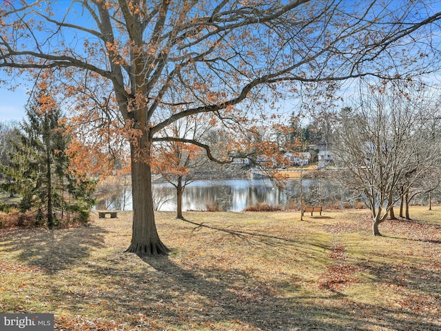 view of yard featuring a water view