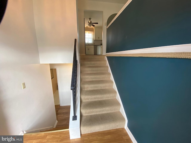 stairway with ceiling fan and wood-type flooring