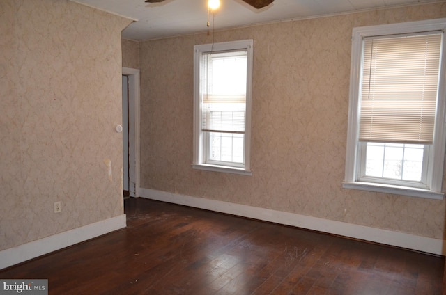 spare room with dark hardwood / wood-style floors, ceiling fan, and crown molding