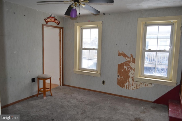 spare room featuring carpet flooring, ceiling fan, and plenty of natural light