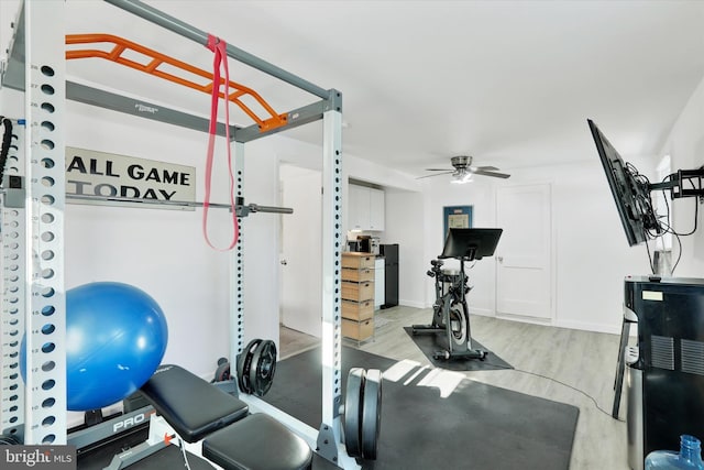 exercise room featuring ceiling fan and light wood-type flooring