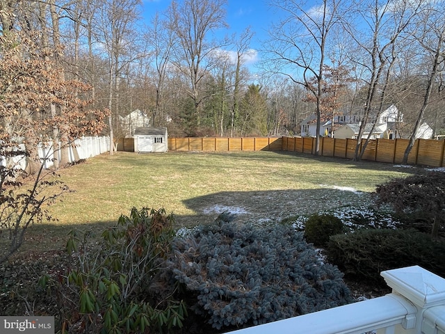 view of yard with a storage unit