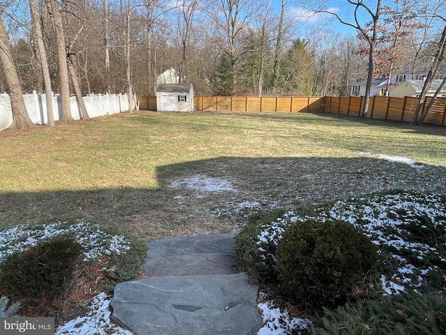 view of yard with a shed