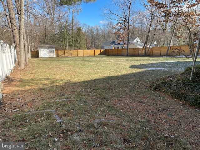 view of yard featuring a shed