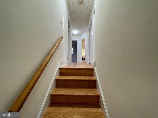 stairs featuring hardwood / wood-style flooring