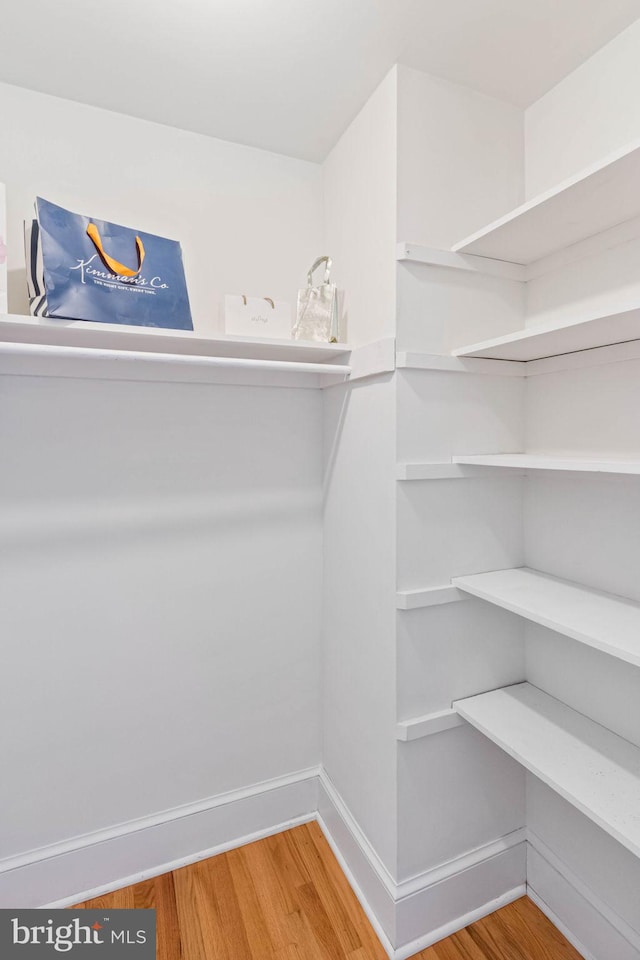 spacious closet featuring hardwood / wood-style flooring