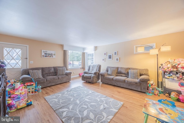 living room featuring hardwood / wood-style floors