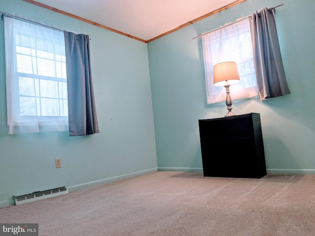 empty room featuring carpet floors and crown molding