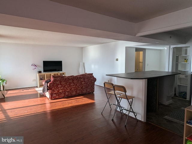 living room with dark hardwood / wood-style flooring