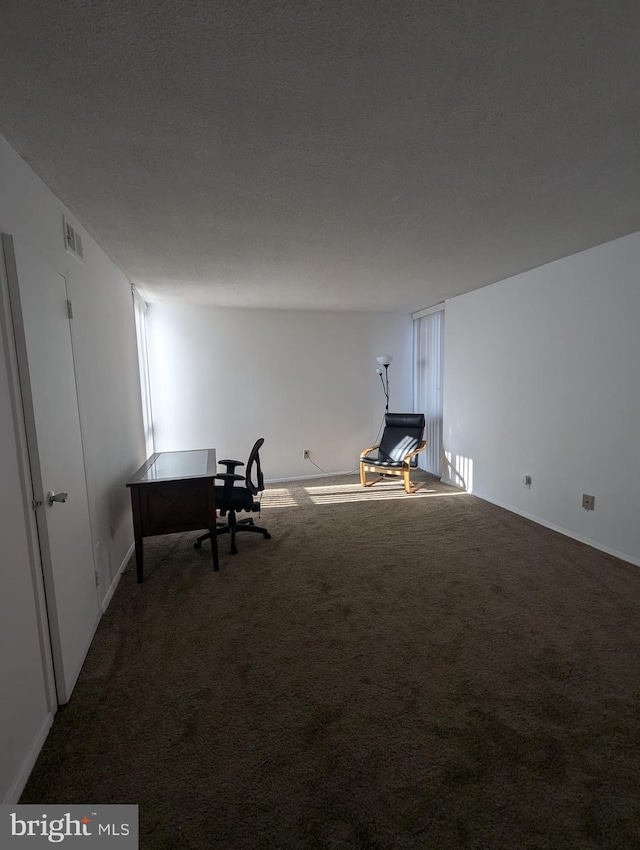 interior space with carpet and a textured ceiling