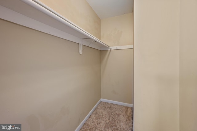 spacious closet featuring light carpet