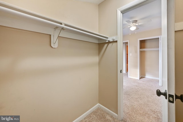 spacious closet with carpet and ceiling fan