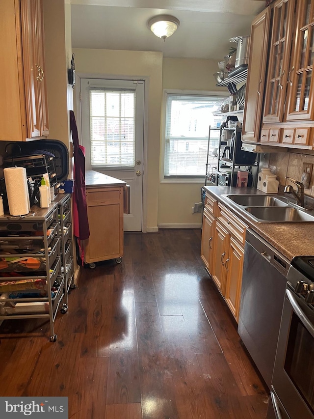 kitchen with backsplash, stainless steel appliances, dark hardwood / wood-style flooring, and sink