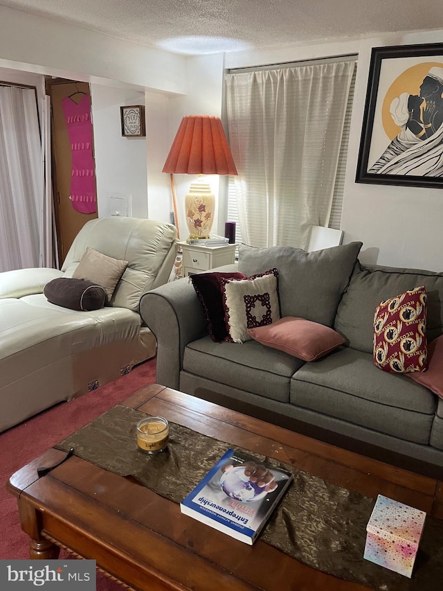 living room featuring a textured ceiling