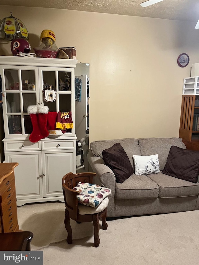 carpeted living room with a textured ceiling