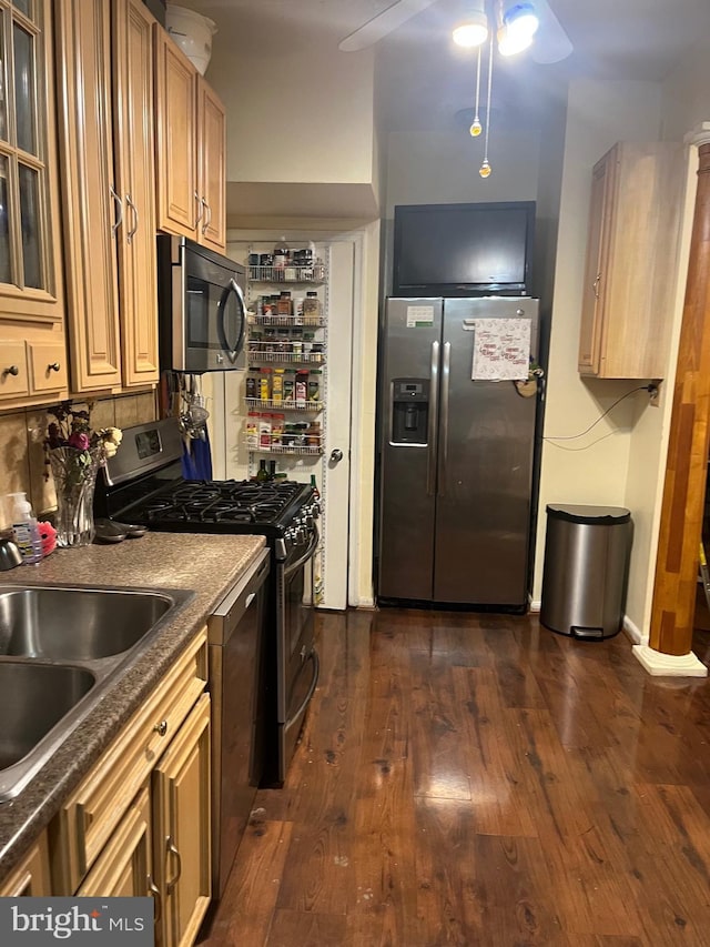 kitchen with dark hardwood / wood-style flooring, ceiling fan, sink, and stainless steel appliances