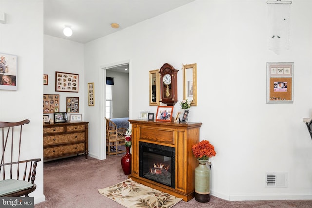 living area featuring carpet