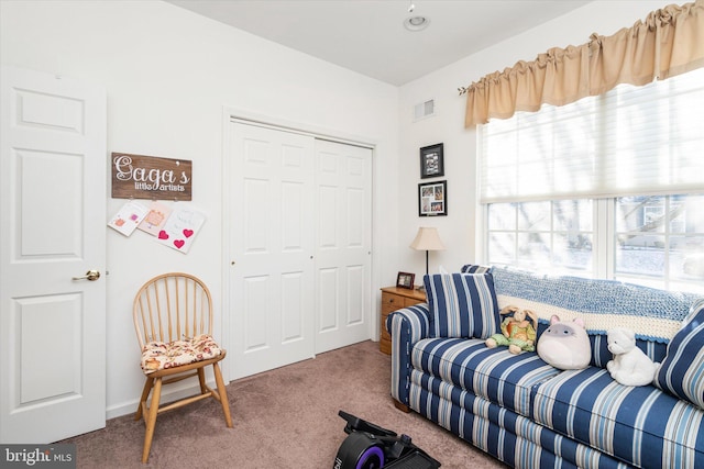 carpeted bedroom featuring a closet