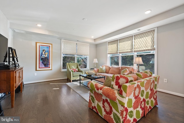 living room featuring dark hardwood / wood-style flooring