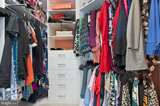 view of walk in closet