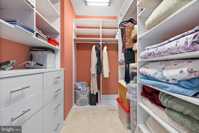 view of walk in closet