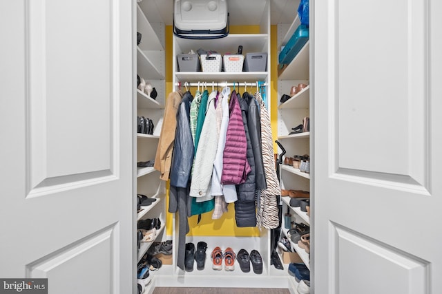 view of spacious closet