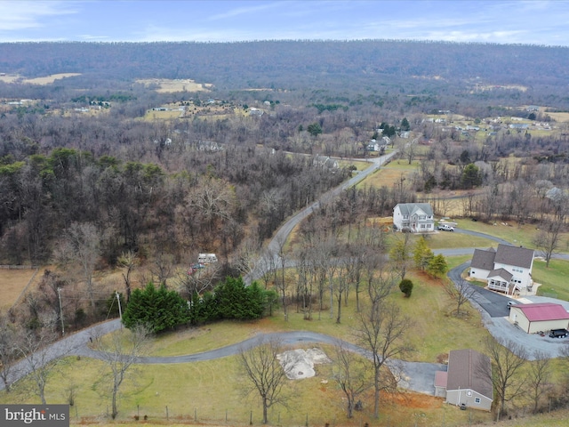 bird's eye view