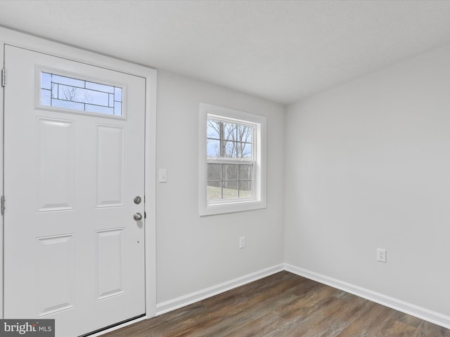 entryway featuring dark wood-type flooring