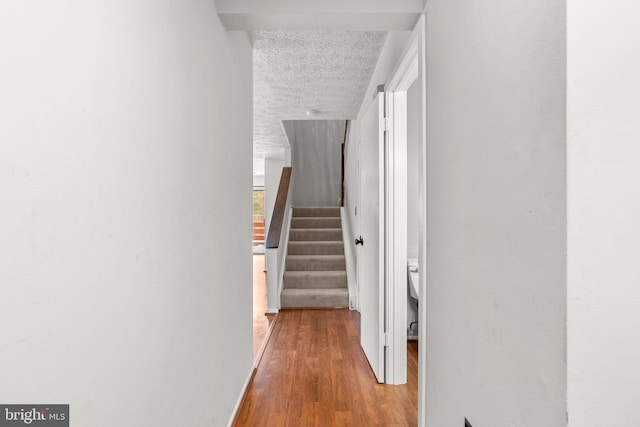 hall with a textured ceiling and wood-type flooring