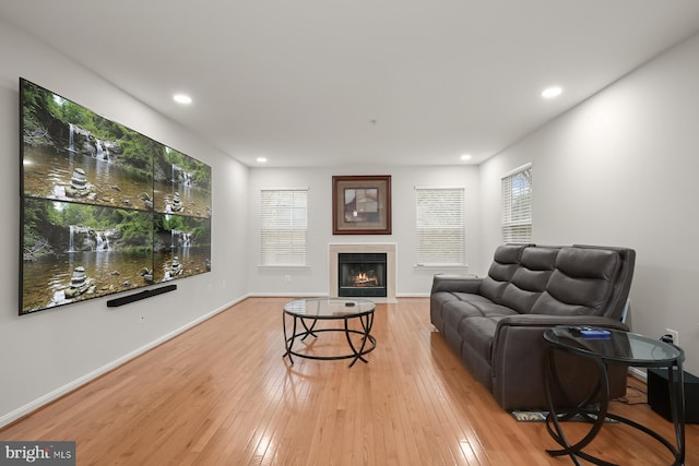 living room featuring a fireplace and light wood-type flooring