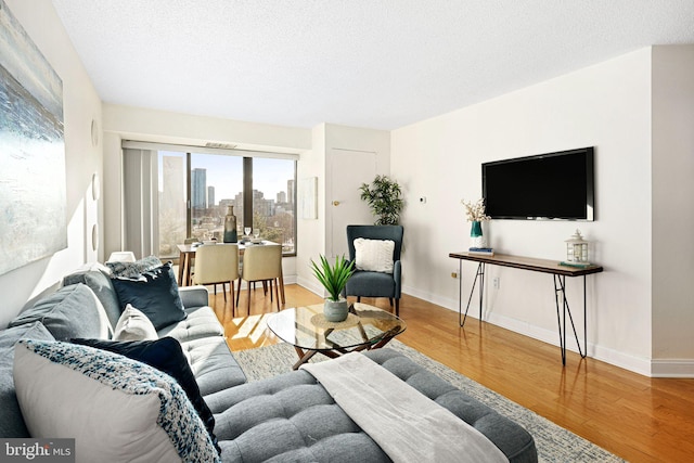 living room with hardwood / wood-style floors and a textured ceiling