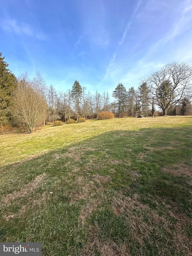 view of yard featuring a rural view