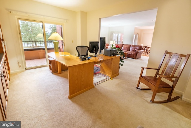 home office featuring light colored carpet