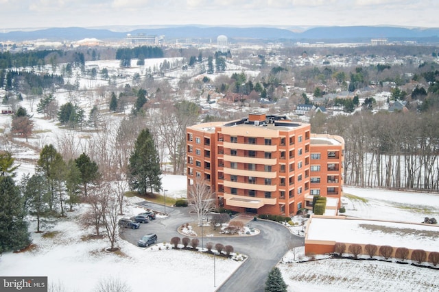 snowy aerial view featuring a mountain view