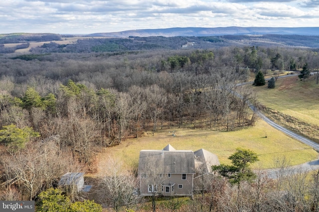 drone / aerial view featuring a mountain view and a rural view