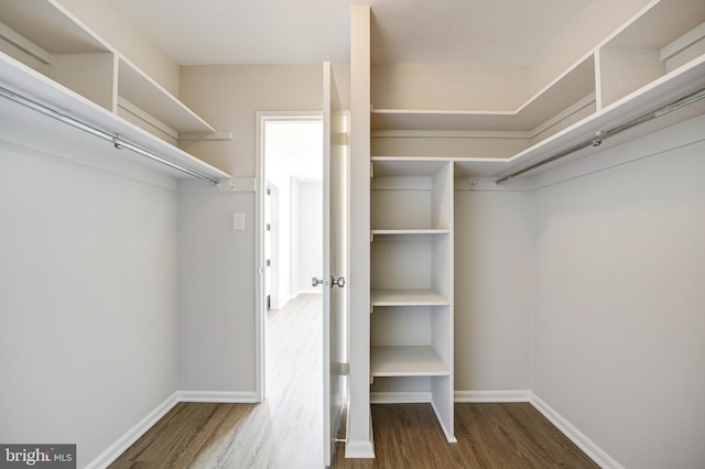 spacious closet featuring wood-type flooring