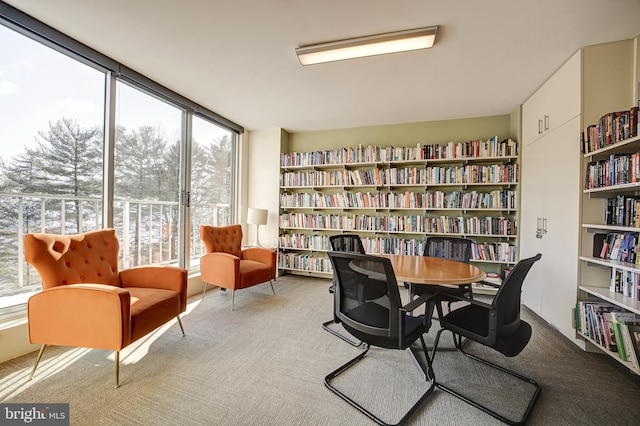 view of carpeted home office