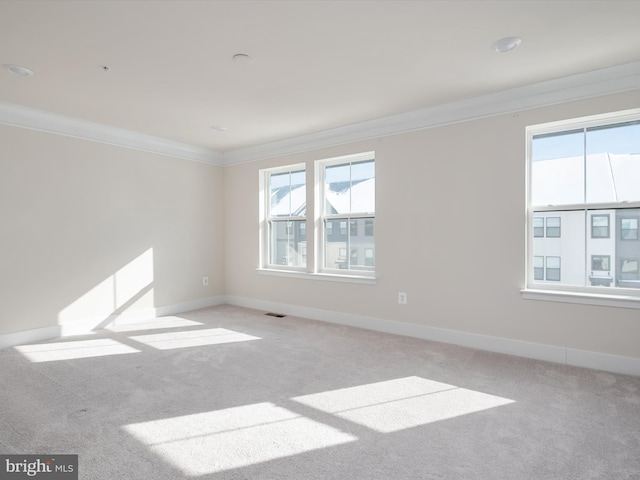 carpeted spare room featuring a healthy amount of sunlight and crown molding