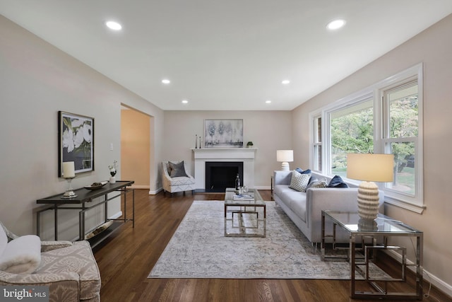 living room with dark hardwood / wood-style floors